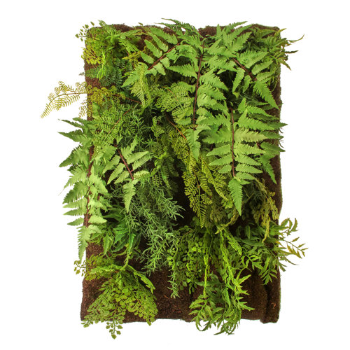Primrue 24'' Faux Fern Plant Wayfair